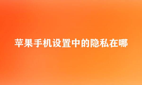 苹果手机设置中的隐私在哪