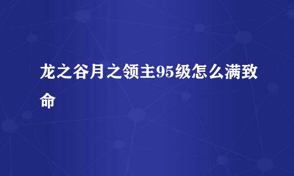 龙之谷月之领主95级怎么满致命
