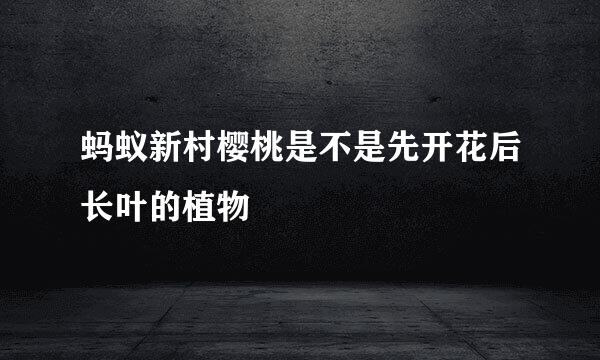 蚂蚁新村樱桃是不是先开花后长叶的植物