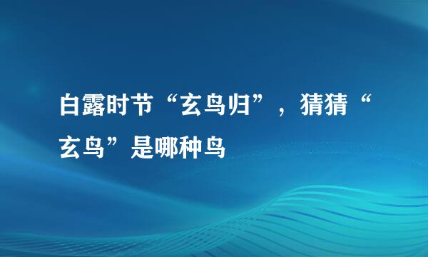 白露时节“玄鸟归”,猜猜“玄鸟”是哪种鸟