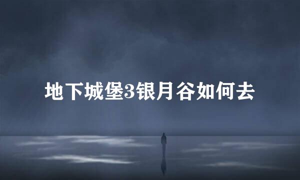 地下城堡3银月谷如何去