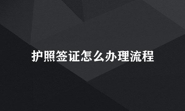 护照签证怎么办理流程