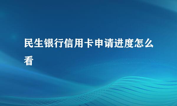 民生银行信用卡申请进度怎么看