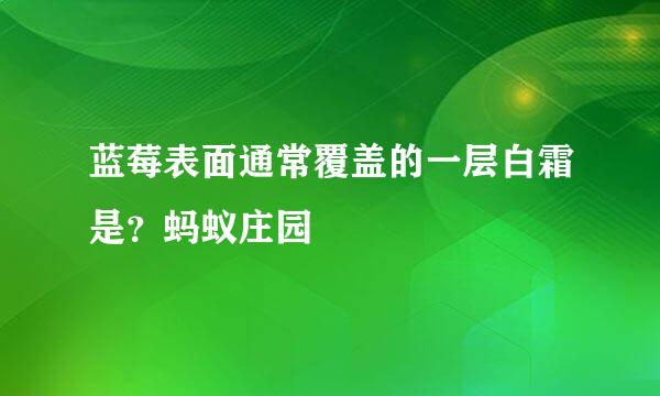 蓝莓表面通常覆盖的一层白霜是?蚂蚁庄园
