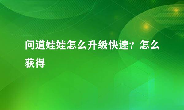 问道娃娃怎么升级快速?怎么获得