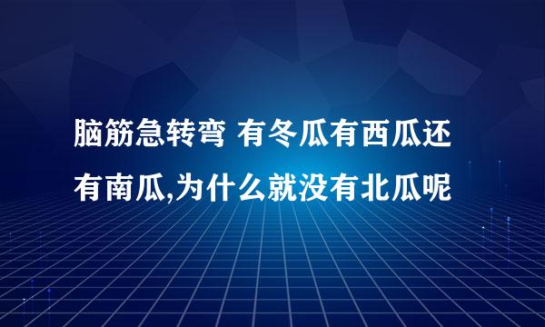 脑筋急转弯 有冬瓜有西瓜还有南瓜,为什么就没有北瓜呢