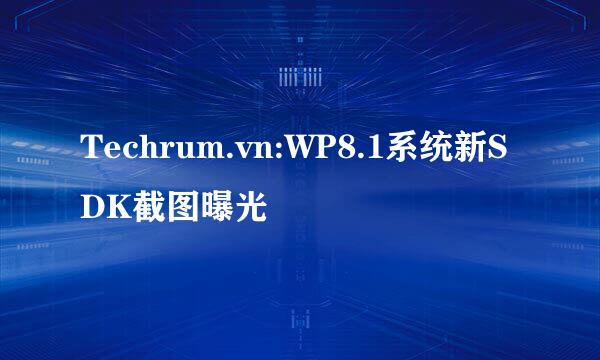 Techrum.vn:WP8.1系统新SDK截图曝光
