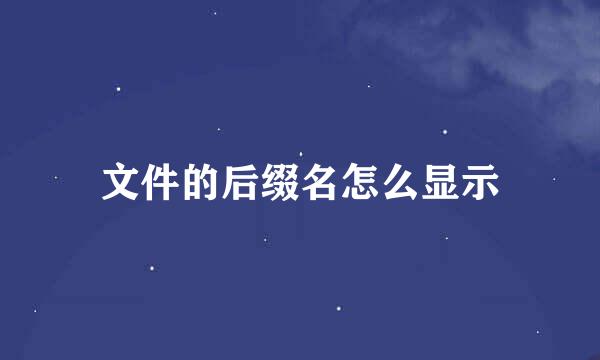 文件的后缀名怎么显示