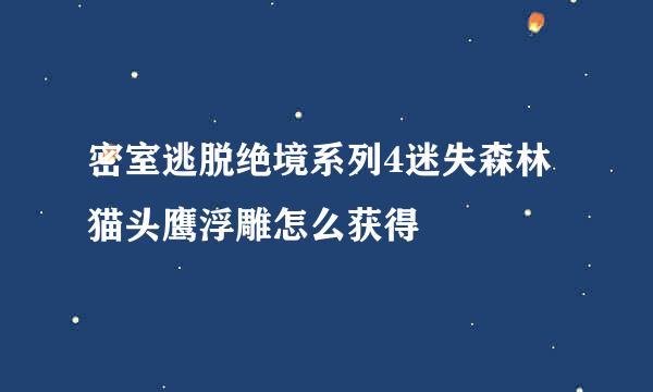密室逃脱绝境系列4迷失森林猫头鹰浮雕怎么获得