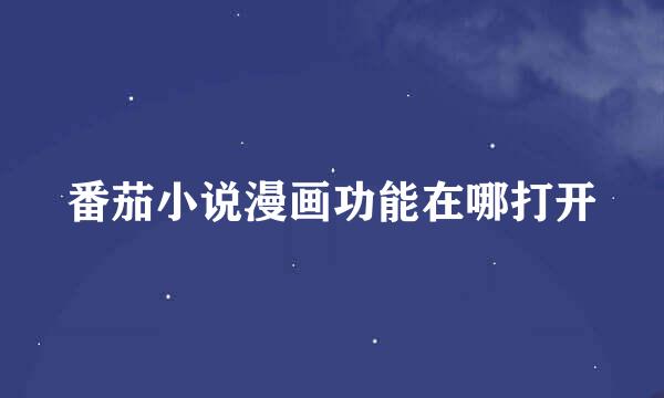番茄小说漫画功能在哪打开