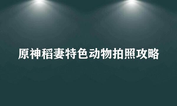 原神稻妻特色动物拍照攻略