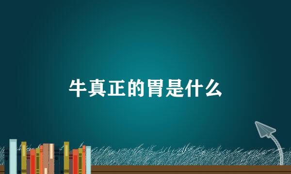 牛真正的胃是什么