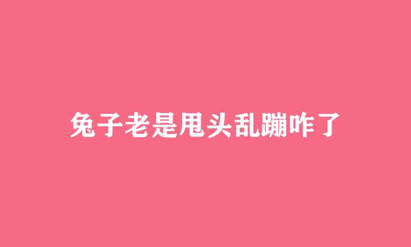 兔子老是甩头乱蹦咋了