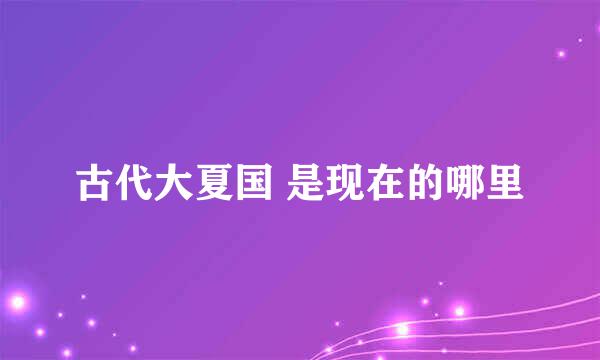古代大夏国 是现在的哪里