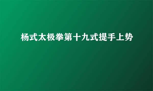 杨式太极拳第十九式提手上势