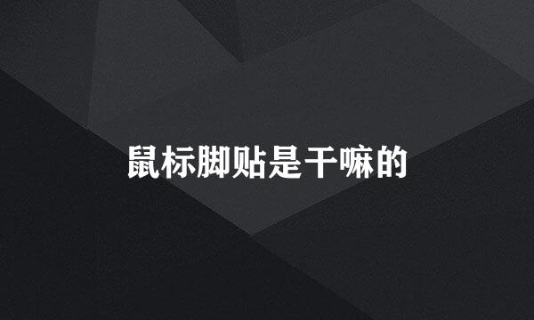 鼠标脚贴是干嘛的