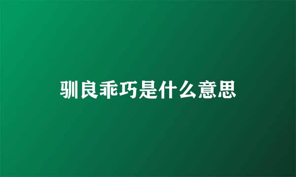 驯良乖巧是什么意思