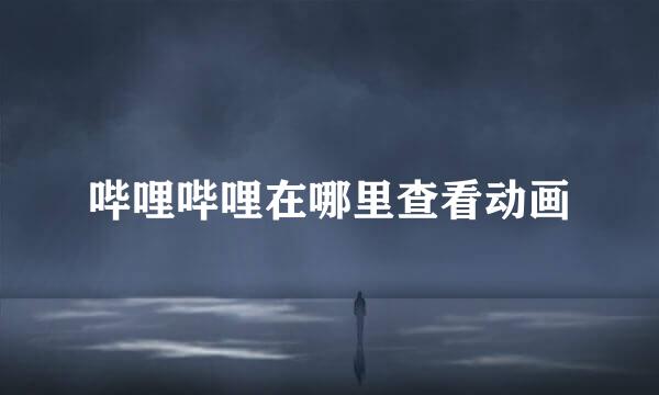 哔哩哔哩在哪里查看动画