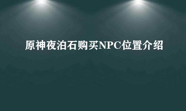 原神夜泊石购买NPC位置介绍