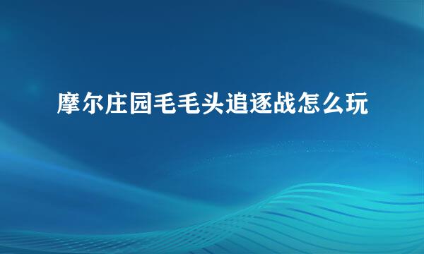 摩尔庄园毛毛头追逐战怎么玩