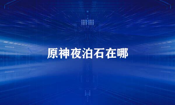原神夜泊石在哪