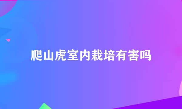 爬山虎室内栽培有害吗