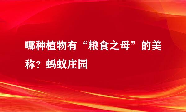 哪种植物有“粮食之母”的美称？蚂蚁庄园