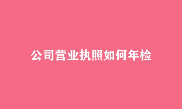 公司营业执照如何年检