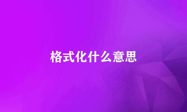 格式化什么意思