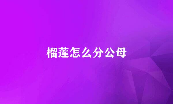 榴莲怎么分公母
