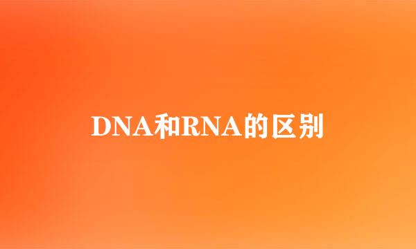 DNA和RNA的区别