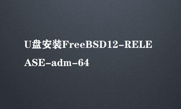 U盘安装FreeBSD12-RELEASE-adm-64