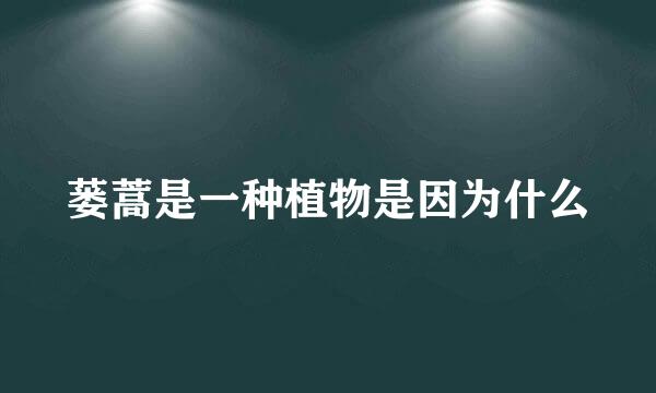 蒌蒿是一种植物是因为什么