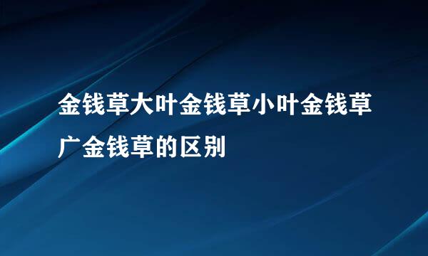 金钱草大叶金钱草小叶金钱草广金钱草的区别