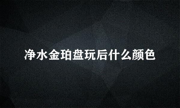 净水金珀盘玩后什么颜色