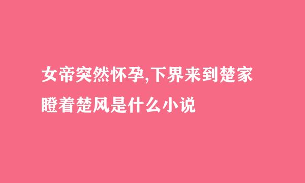 女帝突然怀孕,下界来到楚家瞪着楚风是什么小说