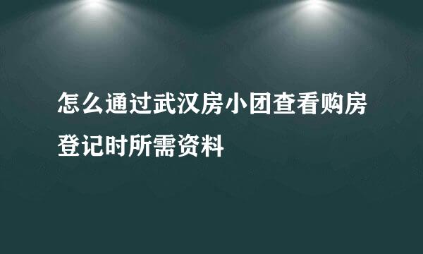 怎么通过武汉房小团查看购房登记时所需资料
