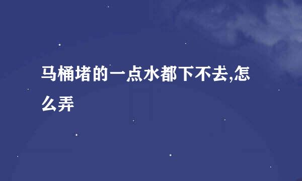马桶堵的一点水都下不去,怎么弄