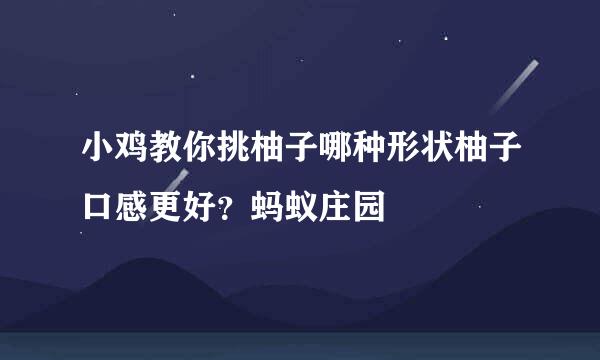 小鸡教你挑柚子哪种形状柚子口感更好？蚂蚁庄园