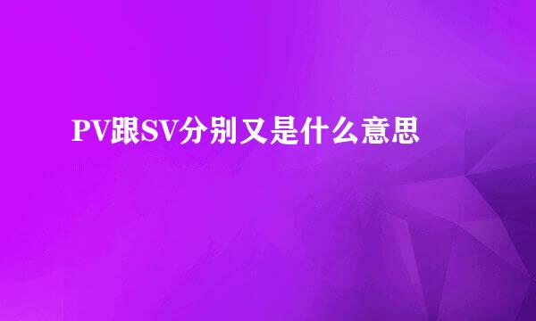 PV跟SV分别又是什么意思