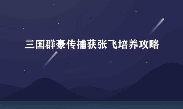 三国群豪传捕获张飞培养攻略