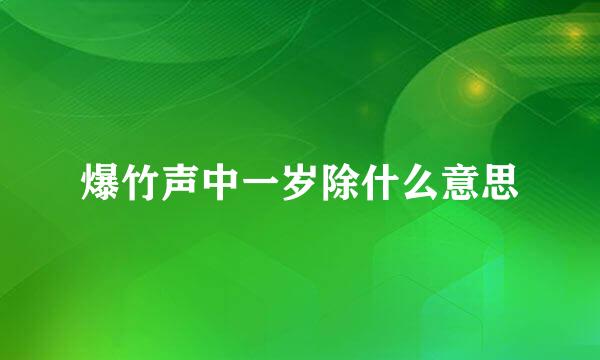 爆竹声中一岁除什么意思