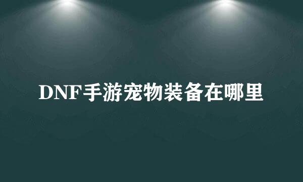 DNF手游宠物装备在哪里