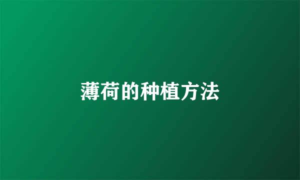 薄荷的种植方法