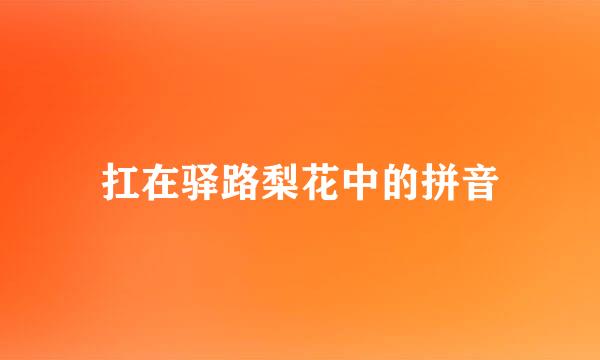 扛在驿路梨花中的拼音