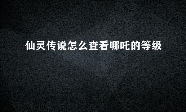 仙灵传说怎么查看哪吒的等级