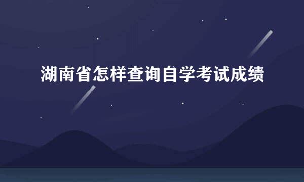 湖南省怎样查询自学考试成绩