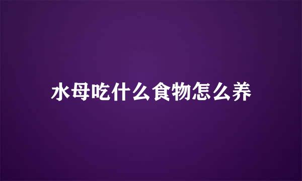 水母吃什么食物怎么养