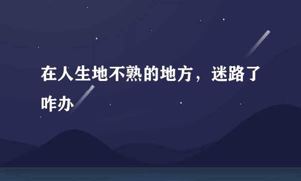 在人生地不熟的地方，迷路了咋办