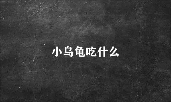 小乌龟吃什么